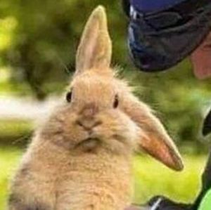 Meet your Posher, Cyndia